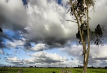 体育直播-勒沃库森燃爆全场,瑞士完败,布鲁诺上演帽子戏法的奇迹之夜