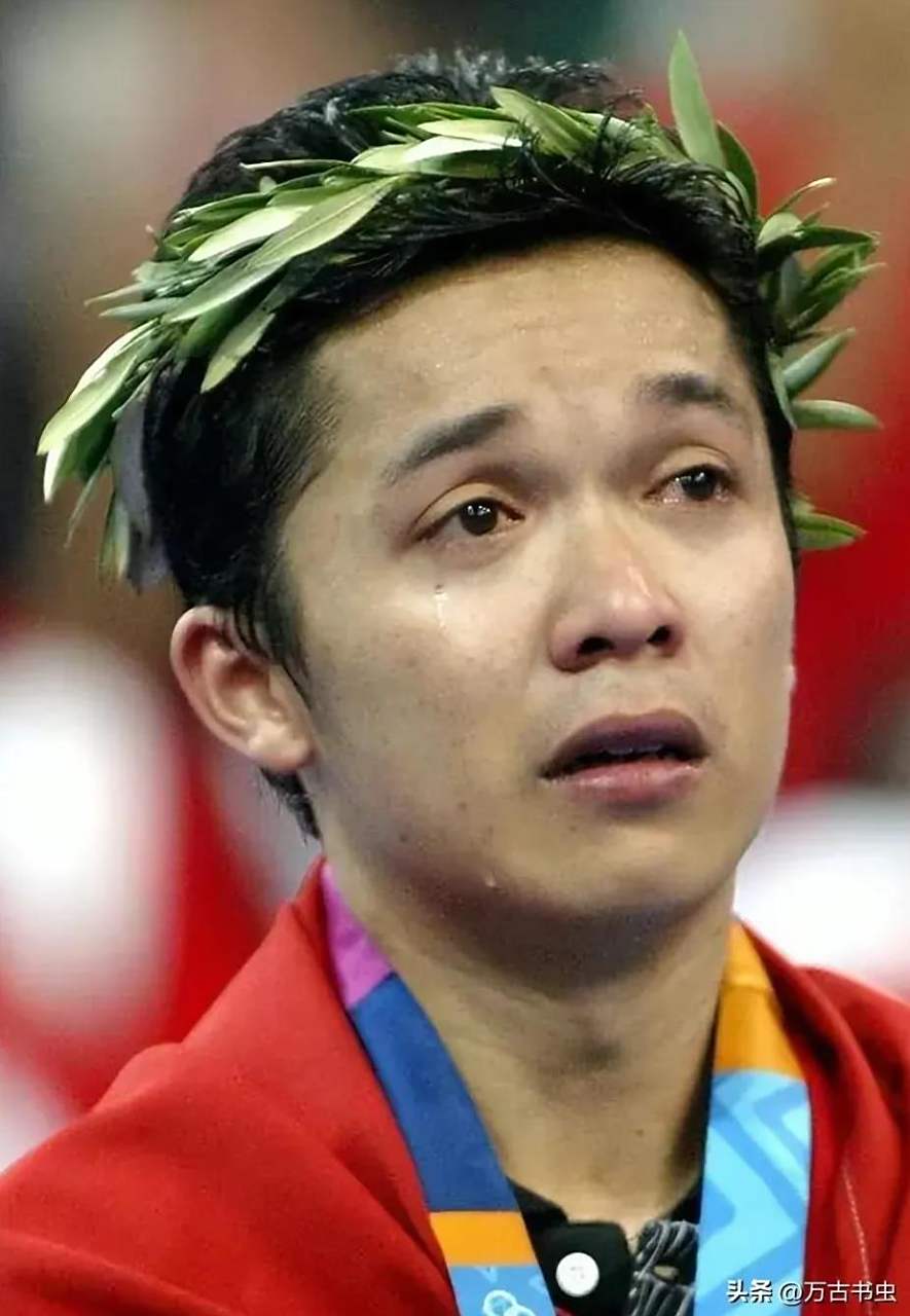 中国羽毛球队血洗印度羽毛球队，陶菲克高光表现的简单介绍